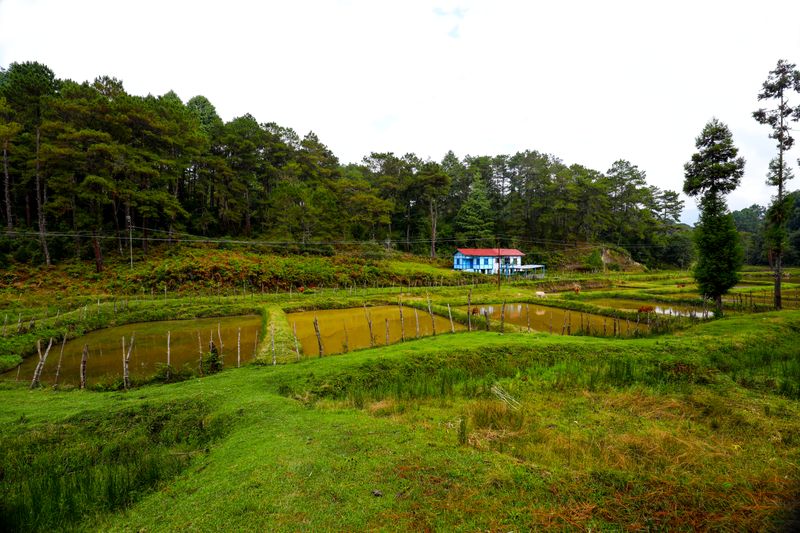 fish-farm