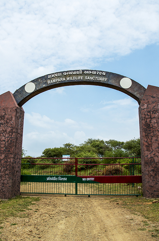 rampara-wildlife-sanctuary-rajkot-gujarat-1-attr-nearby
