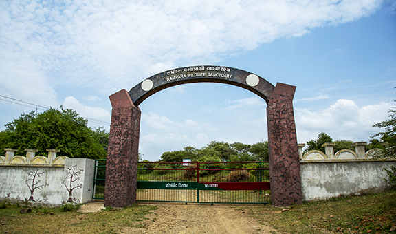 rampara-wildlife-sanctuary-rajkot-gujarat-1-attr-popular