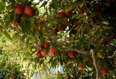 external-blog-search-img