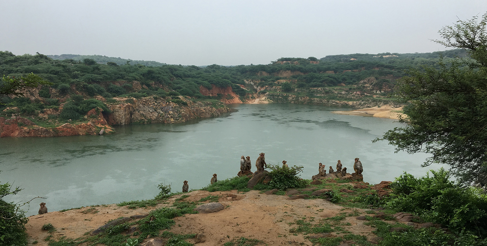 asola-bhatti-wildlife-sanctuary