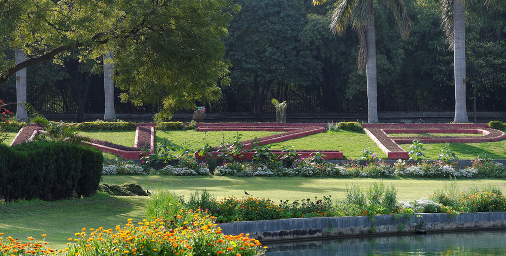 National Zoological Park Delhi, India. A flowerbed.