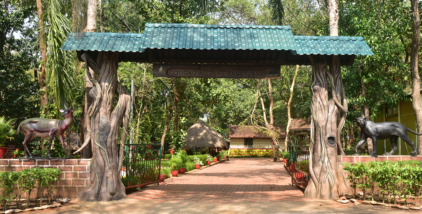 cotigao-wildlife-sanctuary--44