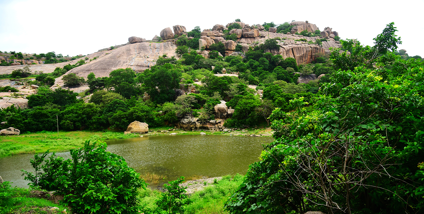 Hills Of Rachakonda Fort Telangana