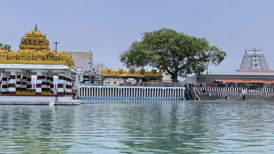 Right-Side-Image