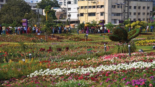 One of the most vibrant events in the calendar year, the Ahmedabad Flower Show - 2017 is a mesmerizing spectacle bringing to the fore the stunning beauty of nature. 
Creating an enchanting combination of fragrance and colours, the flower show spreads out across 65000 sq. meters like an elegant carpet showcasing the world’s most beautiful flowers, 
including more than 750 species and around 3 lakh flowers, plants and trees. The flower show also has more than 20 nurseries with plants, seeds, saplings and gardening tools on for sale. 
Adding art to beauty, the show also featured 30 designer sculptures made from flowers and plants, ranging from nocturnal animals to dinosaurs to birds in the pond and a peacock, 
the national bird of India. A greenhouse exhibition area was the core attraction of the show, which shared a rich concoction of unusual flowers ranging from purple Orchids to Aglaonema to Dracenea.