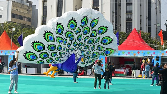 Kite-festival-right-image