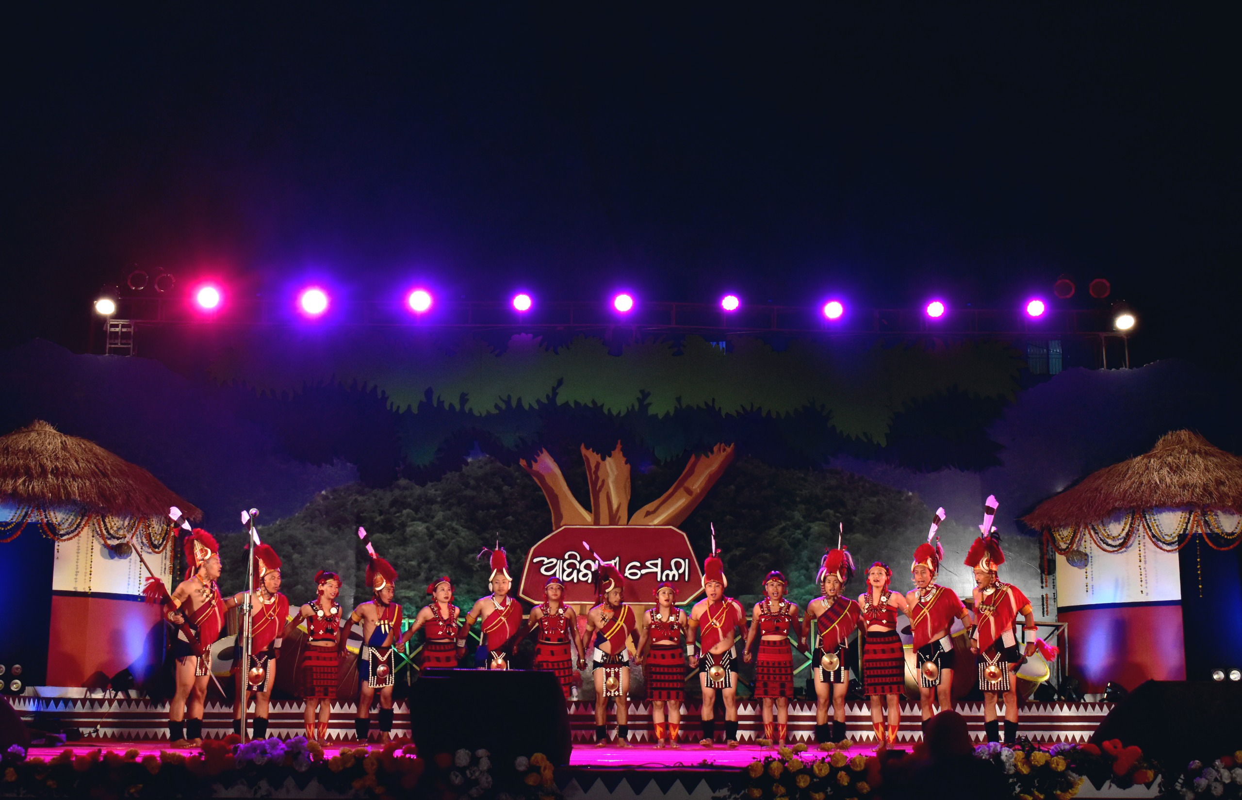 adivasi mela (1)