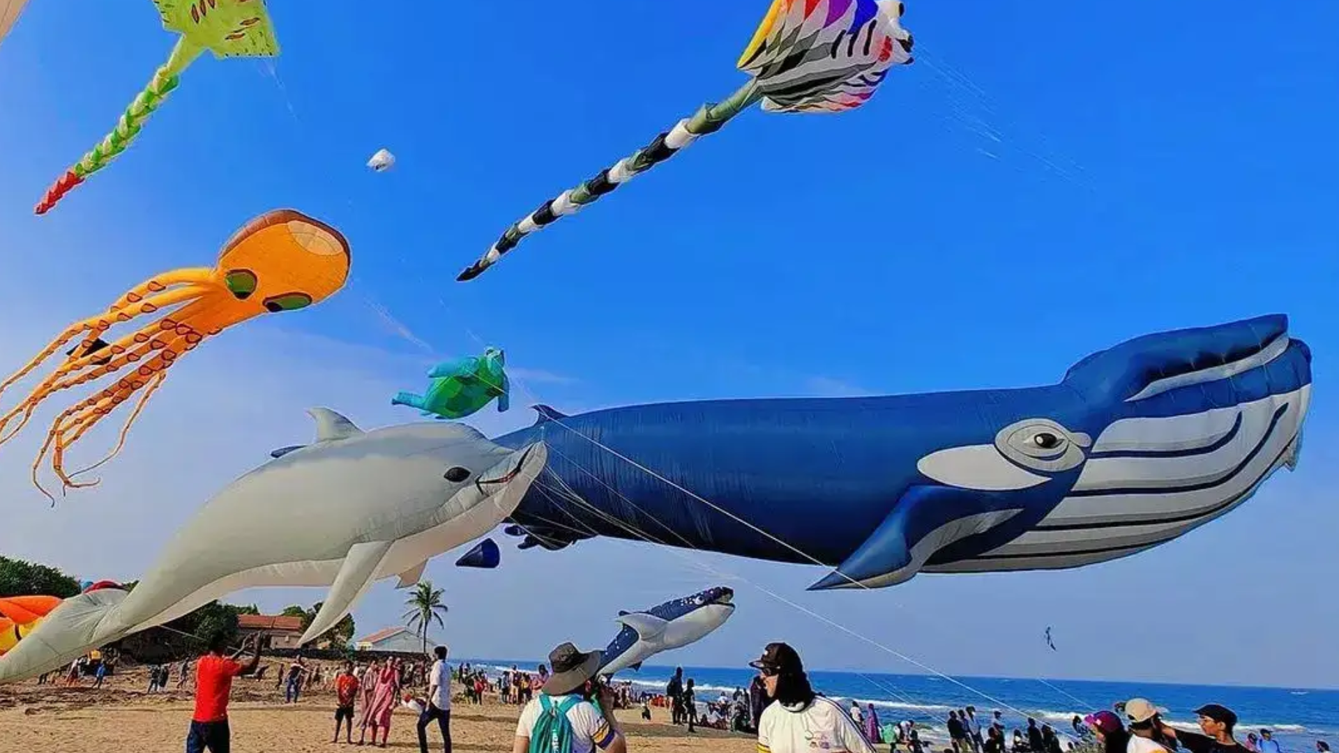 Utsav - Banner - 8